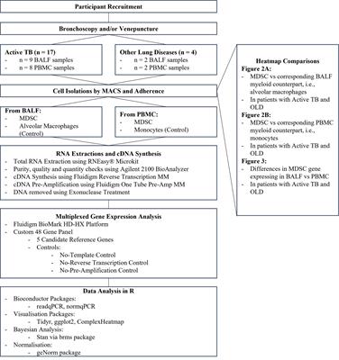 Targeted Gene Expression Profiling of Human Myeloid Cells From Blood and Lung Compartments of Patients With Tuberculosis and Other Lung Diseases